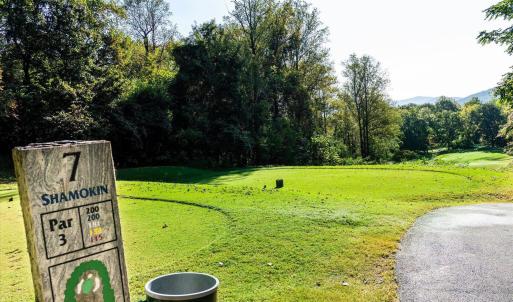 Photo #13 of STONEY CREEK WEST, NELLYSFORD, VA 1.0 acres