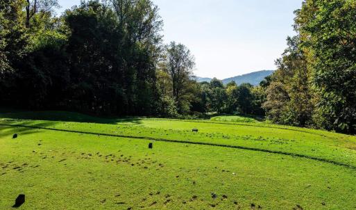 Photo #12 of STONEY CREEK WEST, NELLYSFORD, VA 1.0 acres