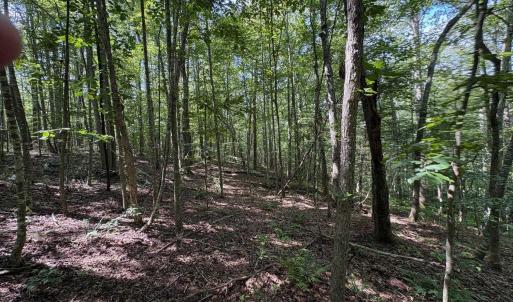 Photo #1 of Part of TM 24-1 MITCHELL MOUNTAIN RD, HAYWOOD, VA 39.2 acres