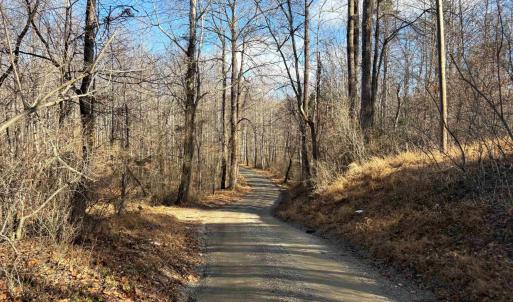 Photo #12 of TM 23-5A MITCHELL MOUNTAIN RD, HAYWOOD, VA 39.2 acres