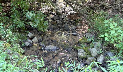 Photo #5 of TM 23-5A MITCHELL MOUNTAIN RD, HAYWOOD, VA 39.2 acres