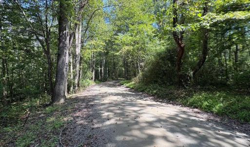 Photo #8 of TM 23-5A MITCHELL MOUNTAIN RD, HAYWOOD, VA 39.2 acres