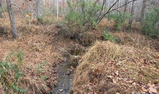 Photo #8 of TM 23-5A MITCHELL MOUNTAIN RD, HAYWOOD, VA 39.2 acres