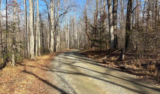Photo #13 of TM 23-5A MITCHELL MOUNTAIN RD, HAYWOOD, VA 39.2 acres