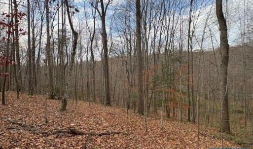 Photo #10 of TM 23-5A MITCHELL MOUNTAIN RD, HAYWOOD, VA 39.2 acres
