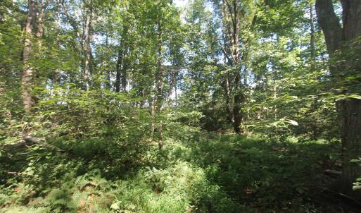 Photo #5 of SEMINOLE TRL, ROCHELLE, VA 4.7 acres