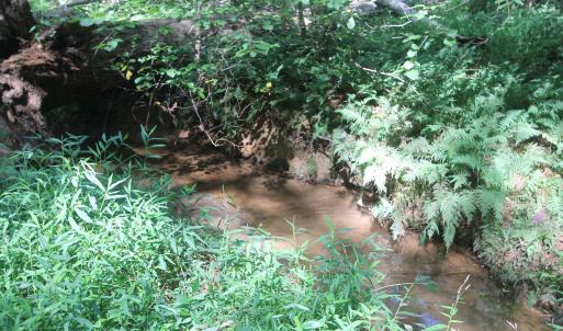 Photo #7 of SEMINOLE TRL, ROCHELLE, VA 4.7 acres