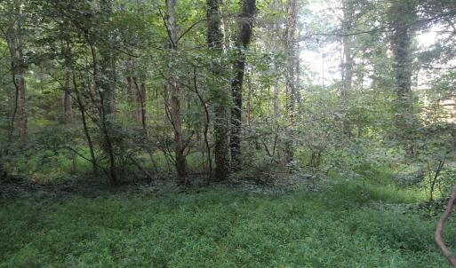 Photo #10 of SEMINOLE TRL, ROCHELLE, VA 4.7 acres