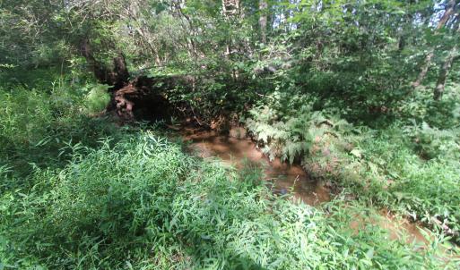 Photo #6 of SEMINOLE TRL, ROCHELLE, VA 4.7 acres