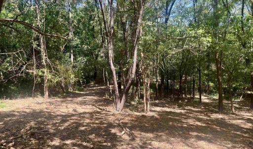 Photo #19 of 1630 BUCK RD, CROZET, VA 25.3 acres