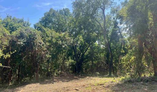 Photo #21 of 1630 BUCK RD, CROZET, VA 25.3 acres