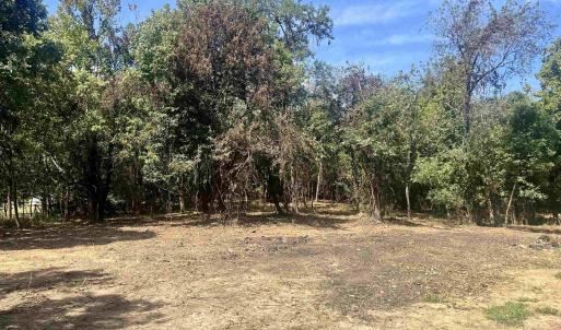 Photo #11 of 1630 BUCK RD, CROZET, VA 25.3 acres