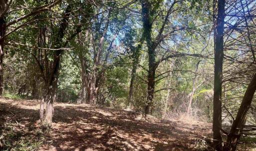 Photo #26 of 1630 BUCK RD, CROZET, VA 25.3 acres