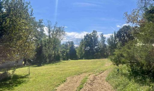 Photo #15 of 1630 BUCK RD, CROZET, VA 25.3 acres