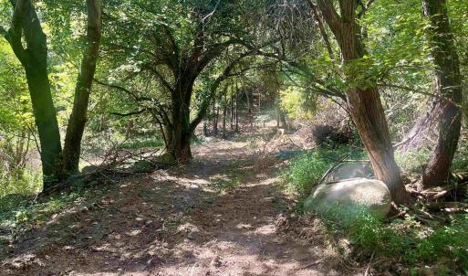 Photo #25 of 1630 BUCK RD, CROZET, VA 25.3 acres