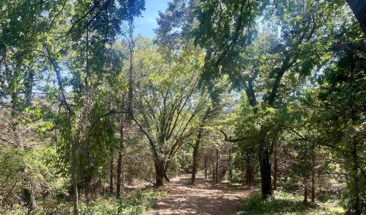 Photo #23 of 1630 BUCK RD, CROZET, VA 25.3 acres