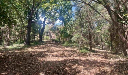 Photo #24 of 1630 BUCK RD, CROZET, VA 25.3 acres