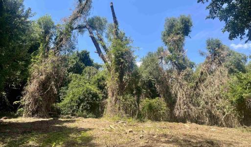 Photo #22 of 1630 BUCK RD, CROZET, VA 25.3 acres