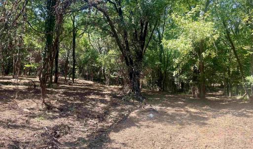 Photo #28 of 1630 BUCK RD, CROZET, VA 25.3 acres