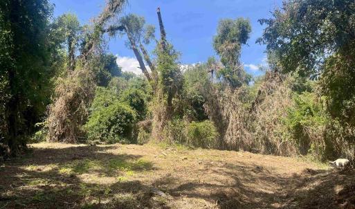 Photo #20 of 1630 BUCK RD, CROZET, VA 25.3 acres