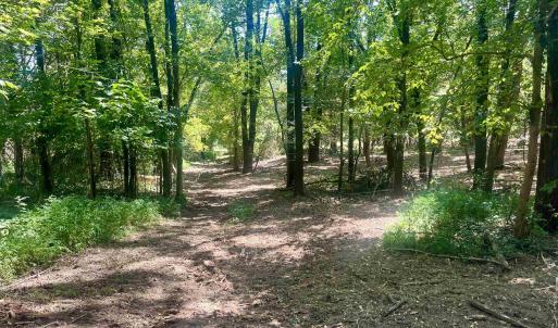 Photo #27 of 1630 BUCK RD, CROZET, VA 25.3 acres