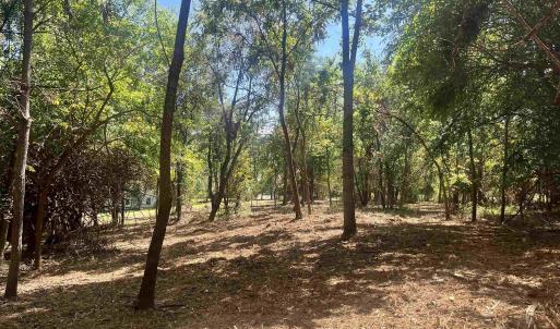 Photo #18 of 1630 BUCK RD, CROZET, VA 25.3 acres