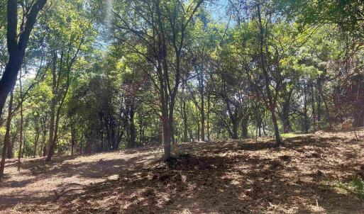 Photo #17 of 1630 BUCK RD, CROZET, VA 25.3 acres