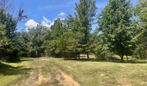 Photo #10 of 1630 BUCK RD, CROZET, VA 25.3 acres