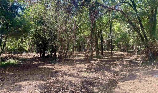 Photo #16 of 1630 BUCK RD, CROZET, VA 25.3 acres