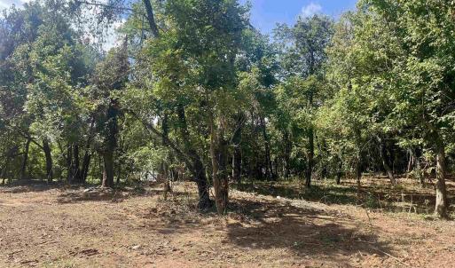 Photo #29 of 1630 BUCK RD, CROZET, VA 25.3 acres