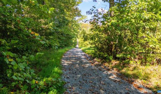 Photo #10 of COPPER MINE RD, DILLWYN, VA 65.0 acres