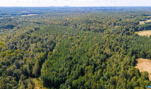 Photo #12 of COPPER MINE RD, DILLWYN, VA 65.0 acres