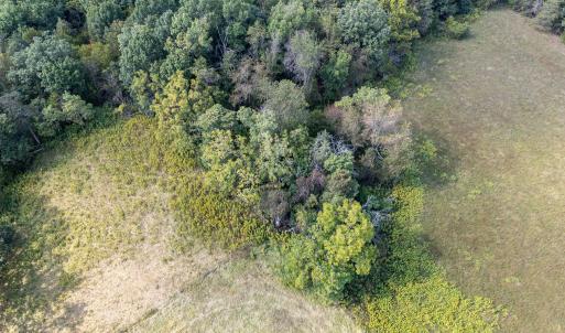 Photo #71 of Off CAVALIER RD, RILEYVILLE, VA 115.5 acres