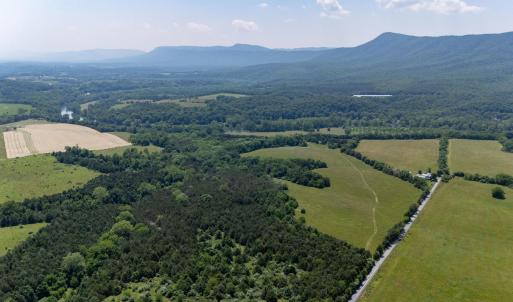 Photo #48 of Off CAVALIER RD, RILEYVILLE, VA 115.5 acres
