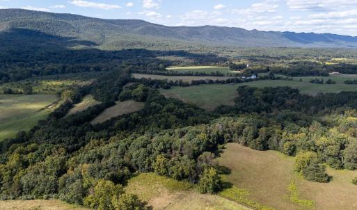 Photo #69 of Off CAVALIER RD, RILEYVILLE, VA 115.5 acres