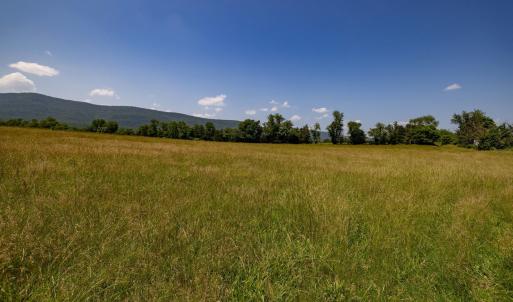 Photo #65 of Off CAVALIER RD, RILEYVILLE, VA 115.5 acres
