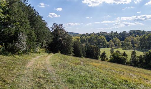 Photo #73 of Off CAVALIER RD, RILEYVILLE, VA 115.5 acres