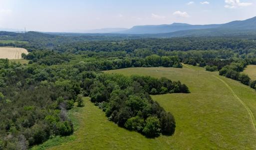 Photo #52 of Off CAVALIER RD, RILEYVILLE, VA 115.5 acres