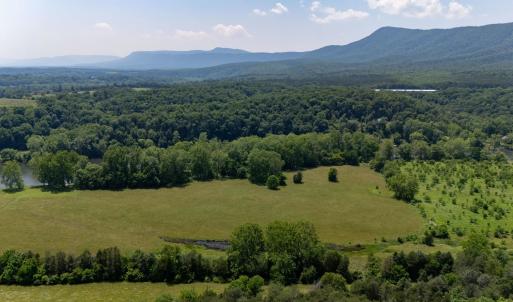 Photo #56 of Off CAVALIER RD, RILEYVILLE, VA 115.5 acres