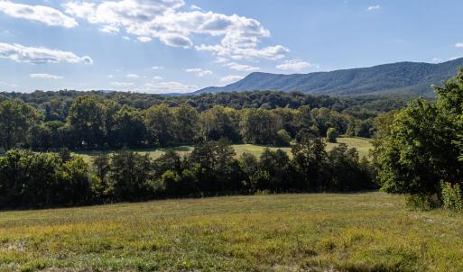 Photo #72 of Off CAVALIER RD, RILEYVILLE, VA 115.5 acres