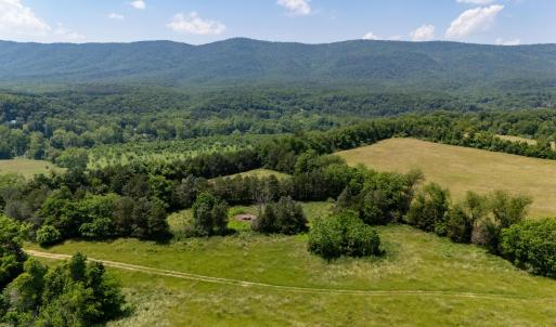 Photo #61 of Off CAVALIER RD, RILEYVILLE, VA 115.5 acres
