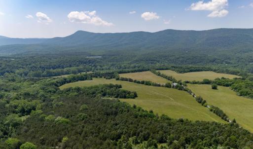Photo #45 of Off CAVALIER RD, RILEYVILLE, VA 115.5 acres