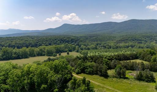Photo #60 of Off CAVALIER RD, RILEYVILLE, VA 115.5 acres