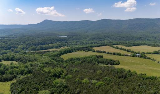 Photo #44 of Off CAVALIER RD, RILEYVILLE, VA 115.5 acres