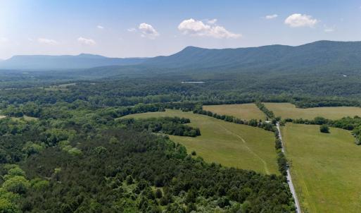 Photo #46 of Off CAVALIER RD, RILEYVILLE, VA 115.5 acres