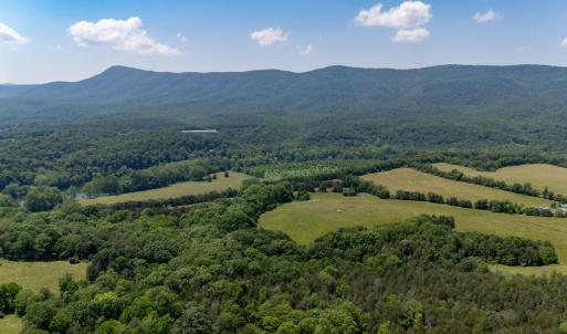 Photo #43 of Off CAVALIER RD, RILEYVILLE, VA 115.5 acres