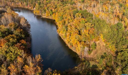 Photo #13 of TBD SHADWELL RD, KESWICK, VA 42.1 acres