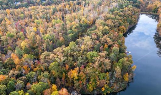 Photo #35 of TBD SHADWELL RD, KESWICK, VA 42.1 acres