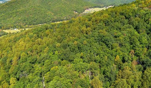 Photo #4 of TBD FOREST HOMES DR, ELKTON, VA 5.6 acres