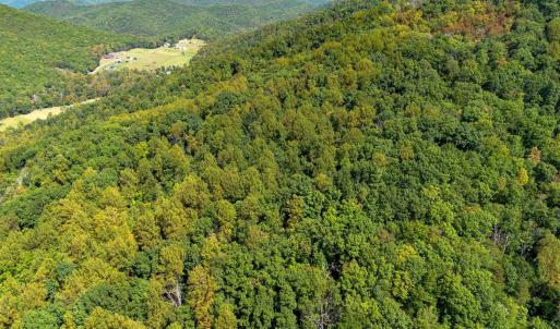 Photo #5 of TBD FOREST HOMES DR, ELKTON, VA 5.6 acres